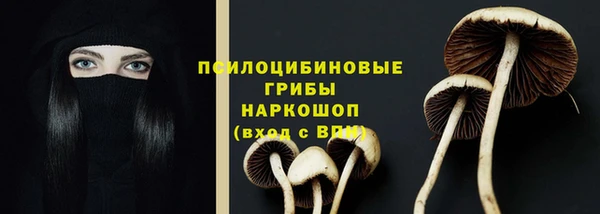 бошки Инсар