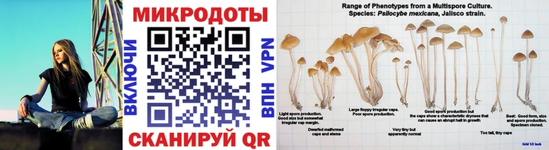 Галлюциногенные грибы прущие грибы  Купить  Вельск 
